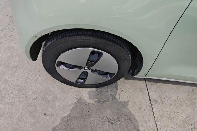 Used ORA Black Cat 2022 301km "Cute Pet" Version – Lithium Iron Phosphate