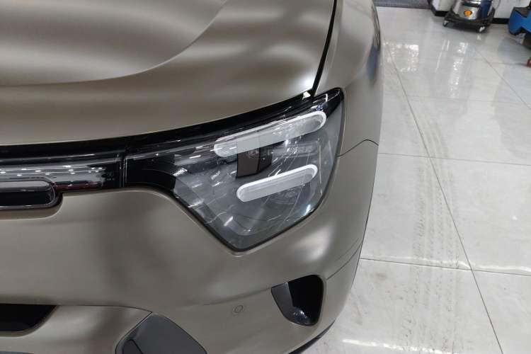 Used smart #5 2024 Jungle Realm Limited Edition