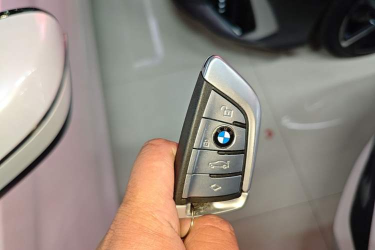 Used BMW 5 Series 2020 530Li Leading Edition Luxury Package