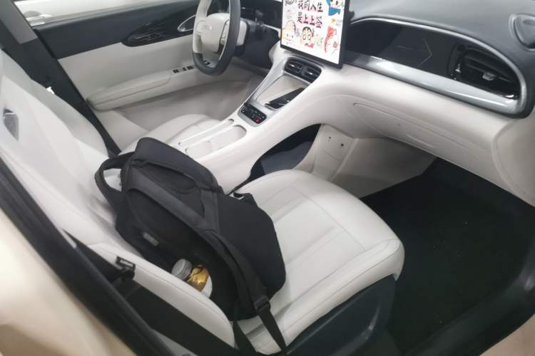 Used Geely Galaxy Geome 2025 310km Dream Edition Right Front Seat