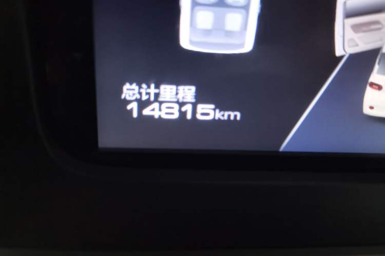 Used Wuling Hongguang MINIEV 2024 3rd Generation 215km Youth Edition Odometer Close Up