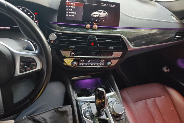 Used BMW 5 Series 2020 530Li Luxury Edition M Sport Package