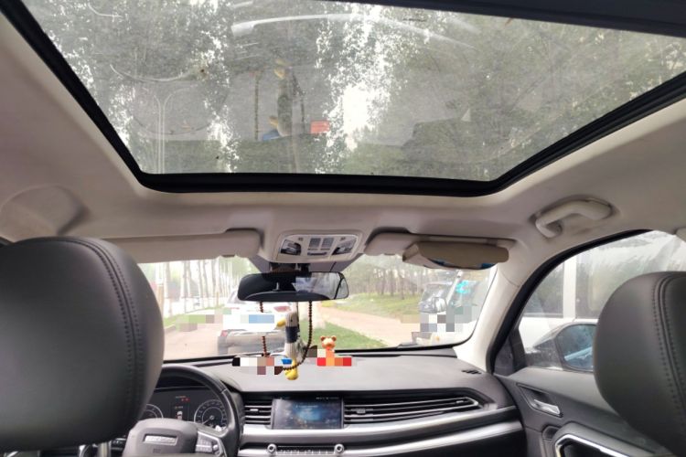 Used Haval H6 2017 Blue Label 2.0T Automatic Two-Wheel Drive Luxury Model
