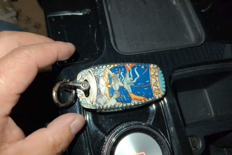 Used Haval DARGO 2021 2.0T DCT 4x4 Chinese Rural Dog Edition
