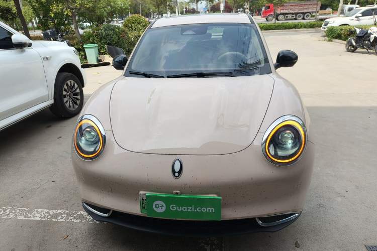 Used ORA Good Cat 2024 401 km Luxury Version Front