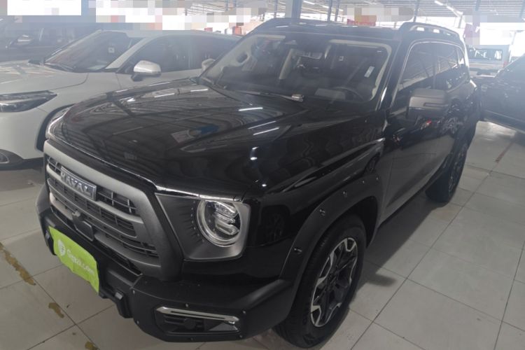 Used Haval DARGO 2024 2.0T DCT Chinese Rural Dog Edition
