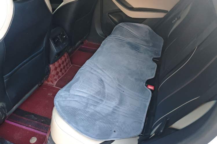 Used BYD Qin PLUS 2021 EV 400KM Luxury Model
