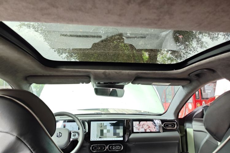 Used Leapmotor C01 2022 Four-Wheel Drive Dual-Motor Performance Version Headliner