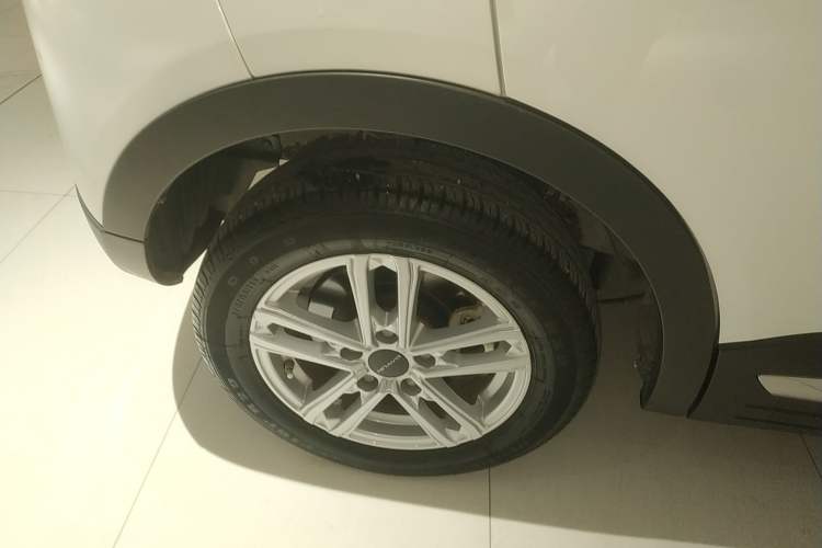 Used Dayun Yuehu 2022 30.66 kWh Two-Wheel Drive Luxury Edition
