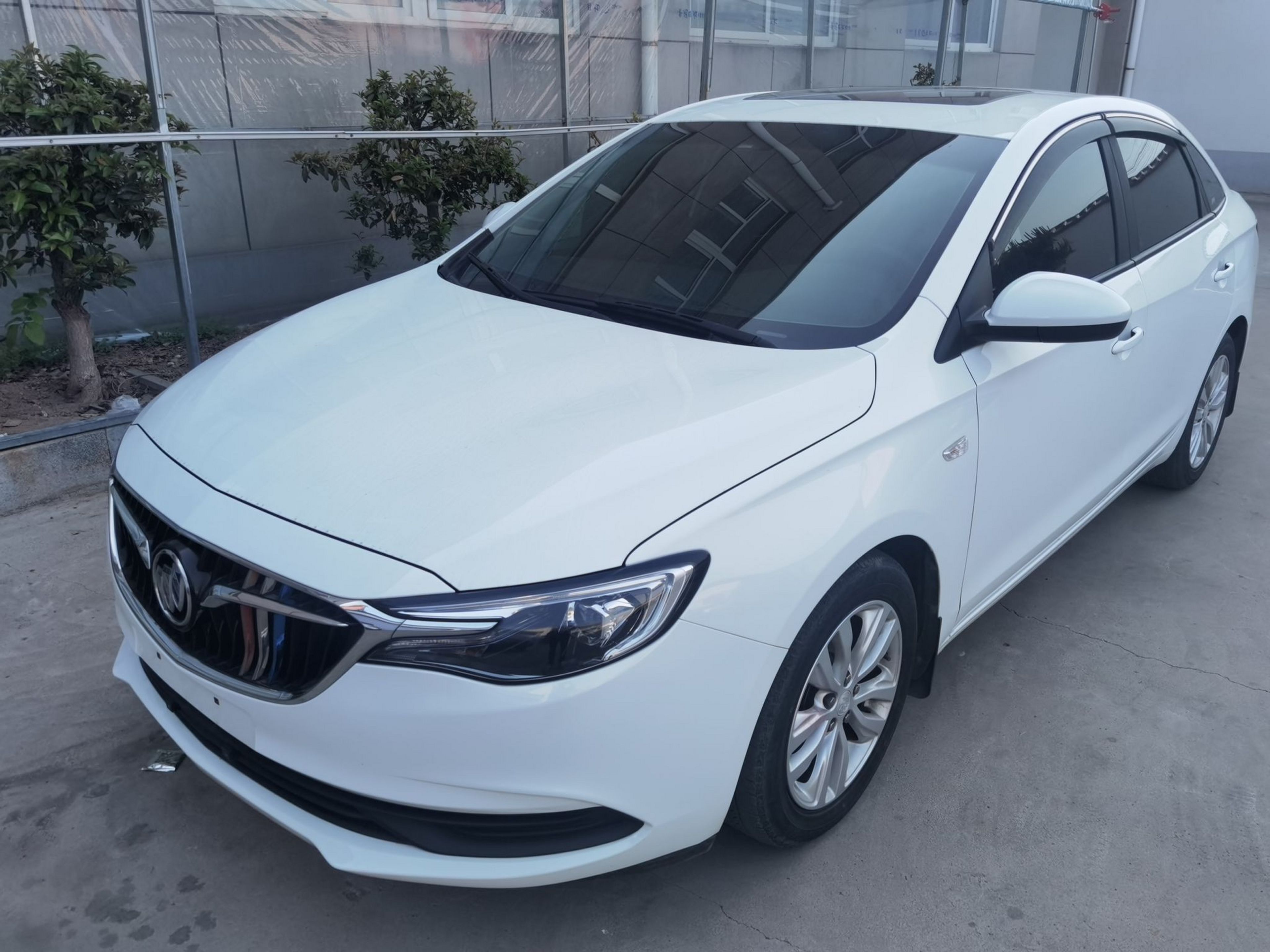 Parte inferior delantera