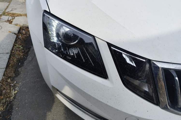 Used Skoda Octavia 2022 1.5L Automatic Comfort Edition