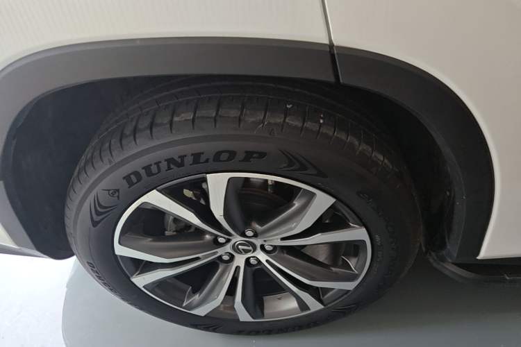 Used Lexus RX 2020 300 4x4 Elegant Edition China VI
