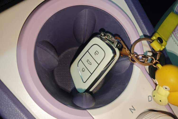 Used Chery Little Ant 2022 Me 301km Romance Phosphate Lithium-Iron
