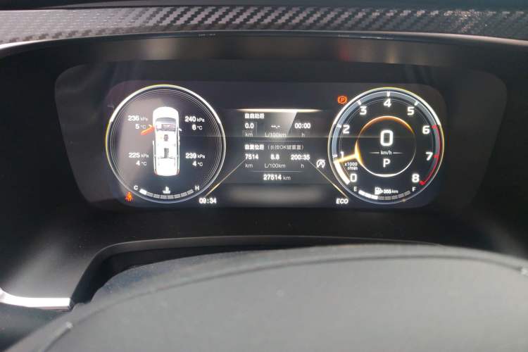 Used GAC Trumpchi M8 2021 Lingxiu Series 390T Deluxe Edition Odometer Close Up