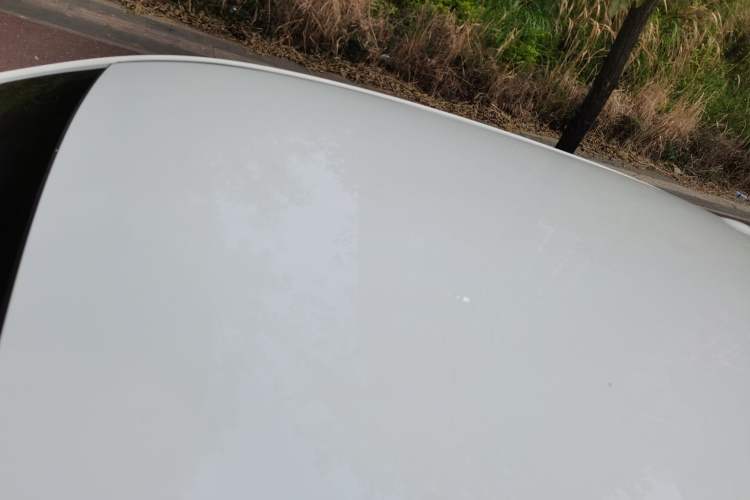 Used ORA Black Cat 2019 351 km Goddess Edition