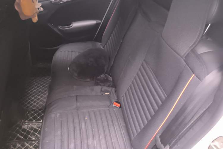 Used Citroen C3-XR 2020 230THP DCT C-Series Trendy Edition Left Rear Seat