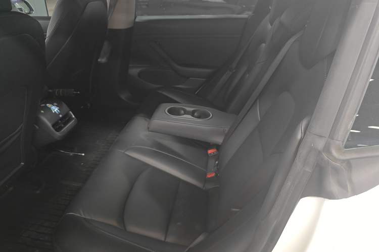 Used Tesla Model 3 2020 Revised Version Standard Range Rear-Wheel Drive – Upgraded Edition Left Rear Seat