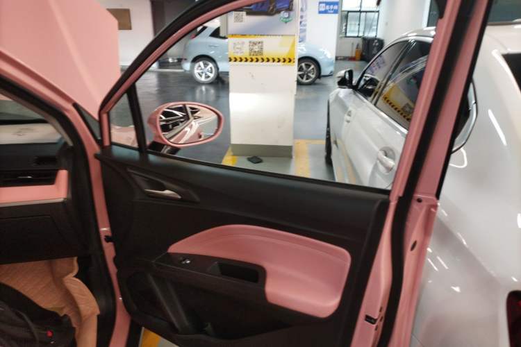 Used NETA V 2022 Chao 400 Lite Pink Custom Edition Right Front Door Interior