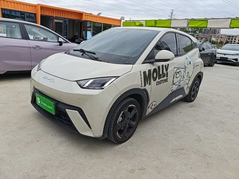 Used BYD Seagull 2023 Free Edition — 1