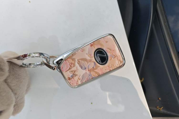 Used Lexus IS 2017 300 F SPORT Edition Vehicle Key