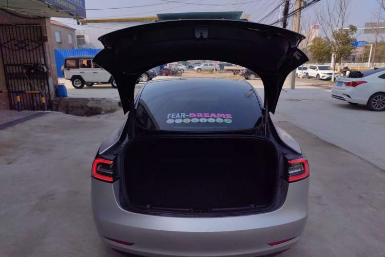 Used Tesla Model 3 2021 Standard Range Rear-Drive Upgraded Version
