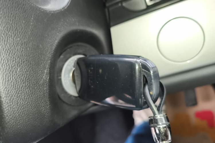 Used Qiyuan Lumin 2023 205km Xiangqin Version
