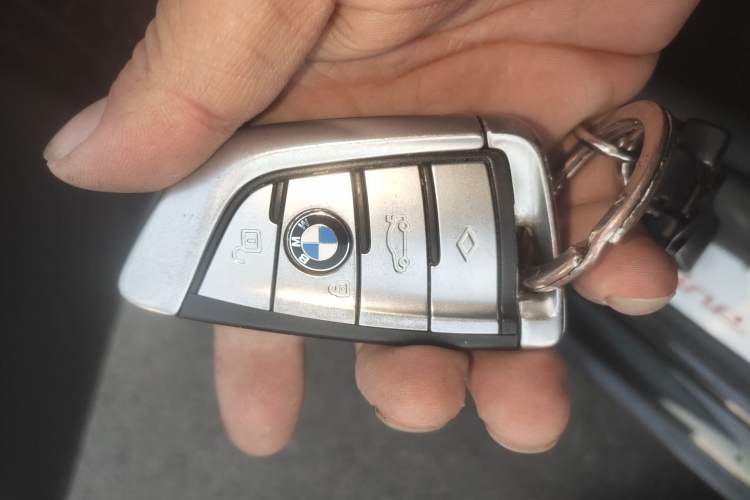 Used BMW 5 Series New Energy 2020 Mileage Upgrade Version 530Le Luxury Package Vehicle Key