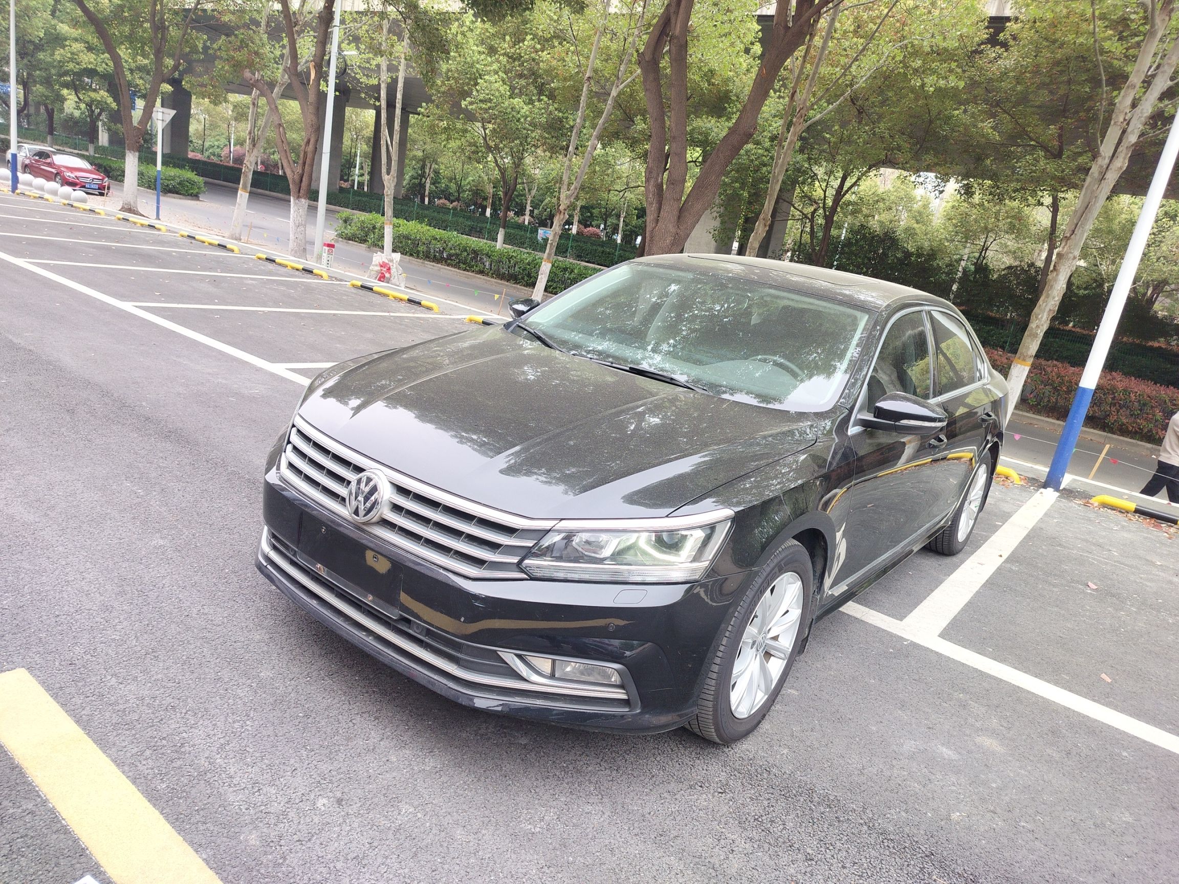 Parte inferior delantera