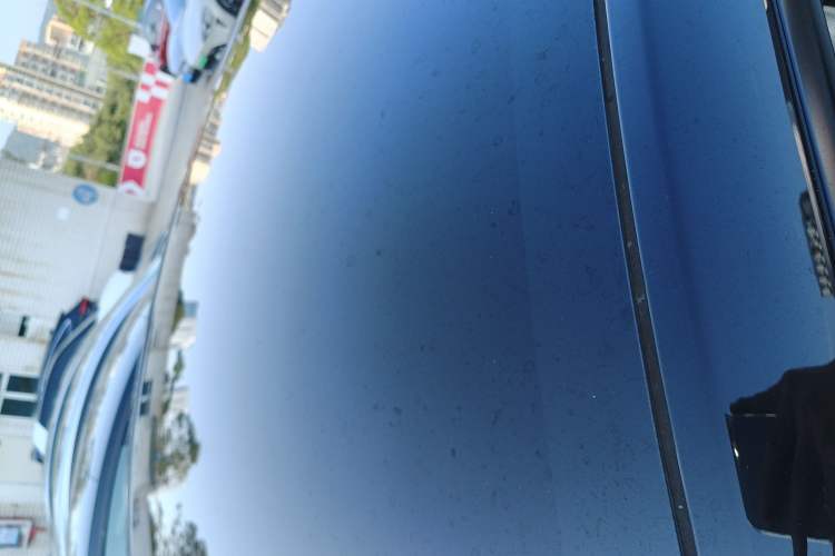 Used Tesla Model Y 2024 Rear-Wheel-Drive Version