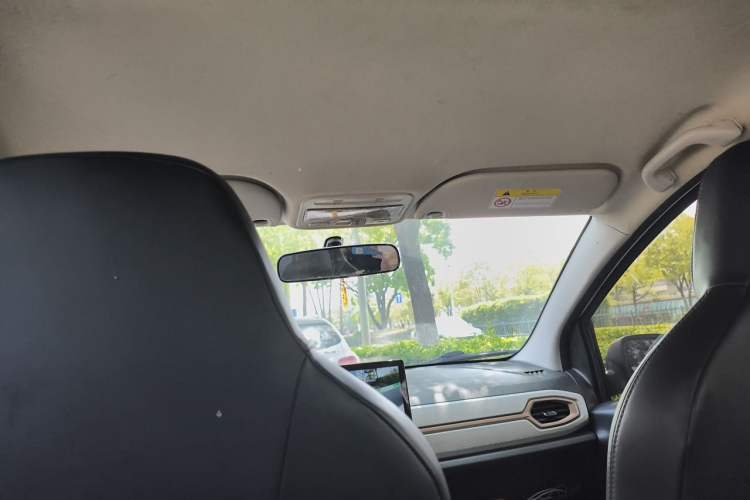 Used SOL E10X 2022 Flower Fairy Design Sunflower
