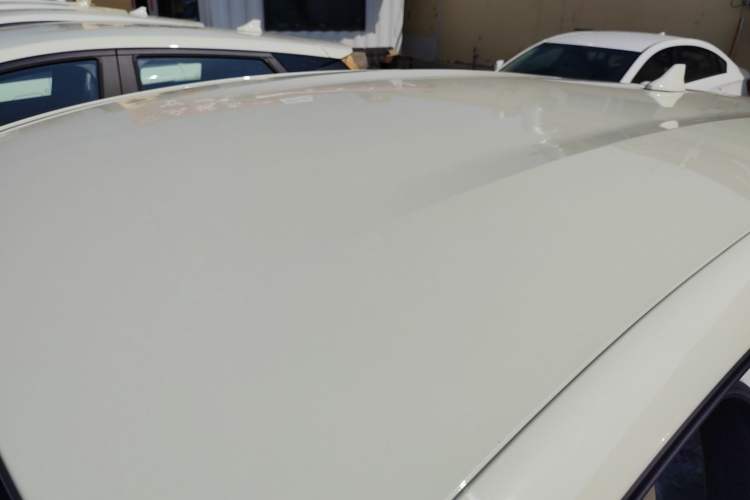 Used BYD Dolphin 2025 420km Free Edition