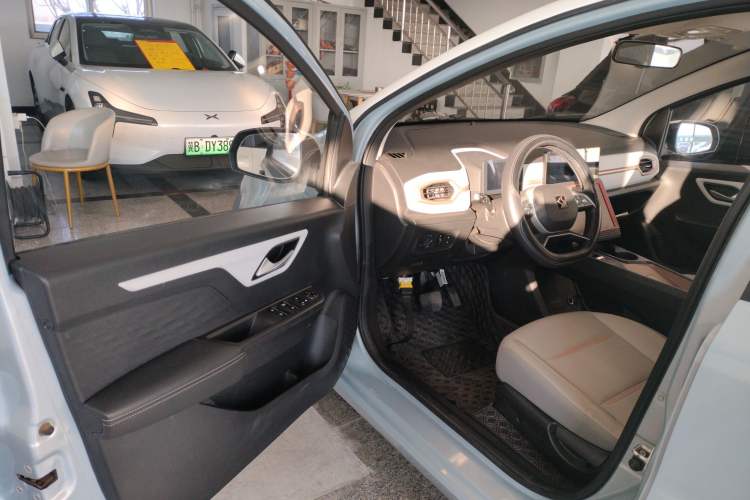 Used SOL E10X 2022 Flower Fairy Style Baby's Breath
