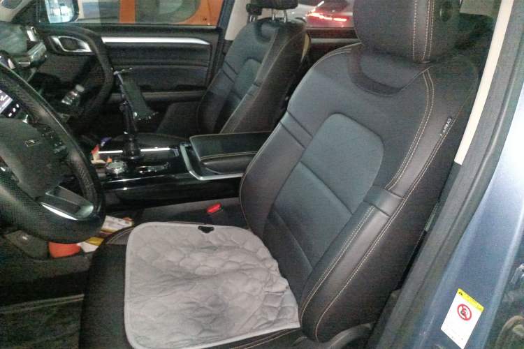 Used Haval DARGO 2021 2.0T DCT 4x4 Chinese Rural Dog Edition
