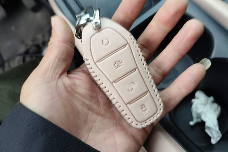 Used BYD Seagull 2023 Flying Edition
