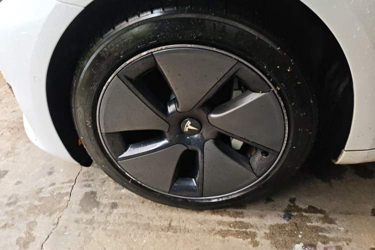 Used Tesla Model 3 2022 Rear-Wheel-Drive Version
