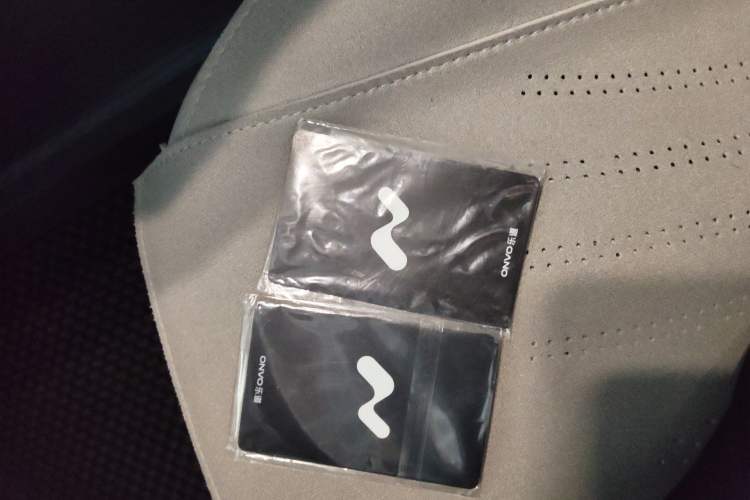 Used ONVO L60 2024 60 kWh Rear-Drive Version Vehicle Key