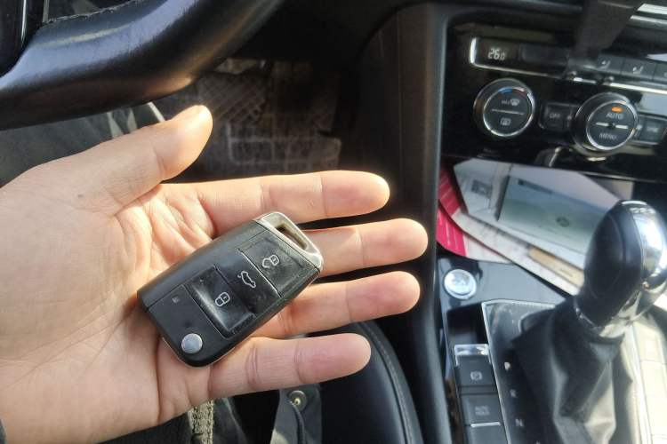 Used Volkswagen Tharu 2020 280TSI Two-Wheel Drive Comfort Edition China VI Standard
