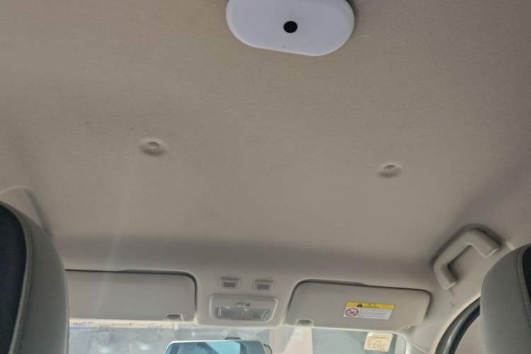 Used ORA Black Cat 2021 301 km Basic Version