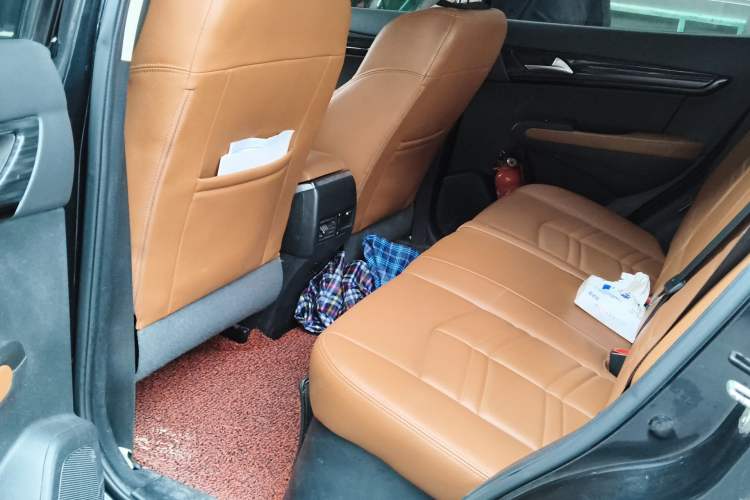 Used Dongfeng Fengdu MX5 2016 2.0L Automatic Flagship Edition Left Rear Seat