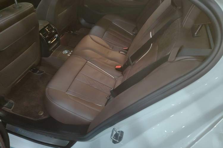 Used BMW 5 Series New Energy 2019 530Le Luxury Package Left Rear Seat