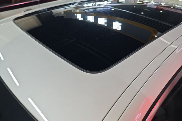 Used BMW 5 Series 2020 530Li Leading Edition Luxury Package