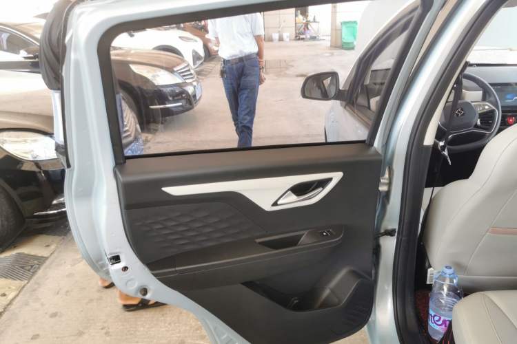 Used SOL E10X 2022 Flower Fairy Design Four-Leaf Clover