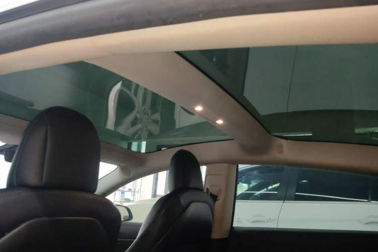 Used Tesla Model 3 (Import) 2019 Long-Range Rear-Wheel-Drive Version