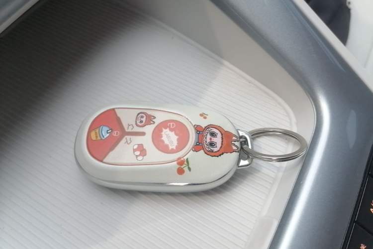 Used Geely Galaxy Geome 2025 310km Youth Edition
