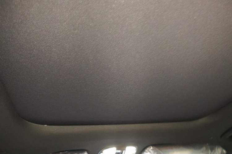 Used Lynk & Co 09 EM-P 2025 2.0TD EM-P Four-Wheel Drive Max Five Seats Headliner