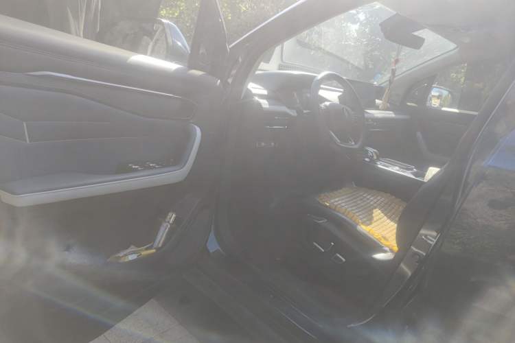 Used Livan Livan 9 2023 470 km Leading Edition