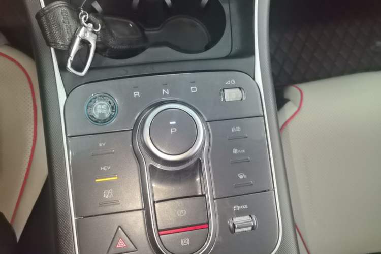 Used BYD Destroyer 05 2023 Champion Edition DM-i 55KM Luxury Model Gear Lever