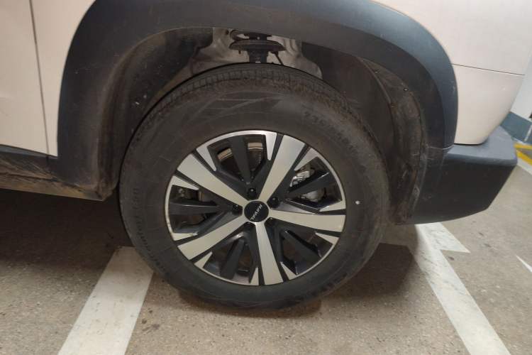 Used Haval DARGO 2022 1.5T DCT Two-Wheel Drive Labrador Edition