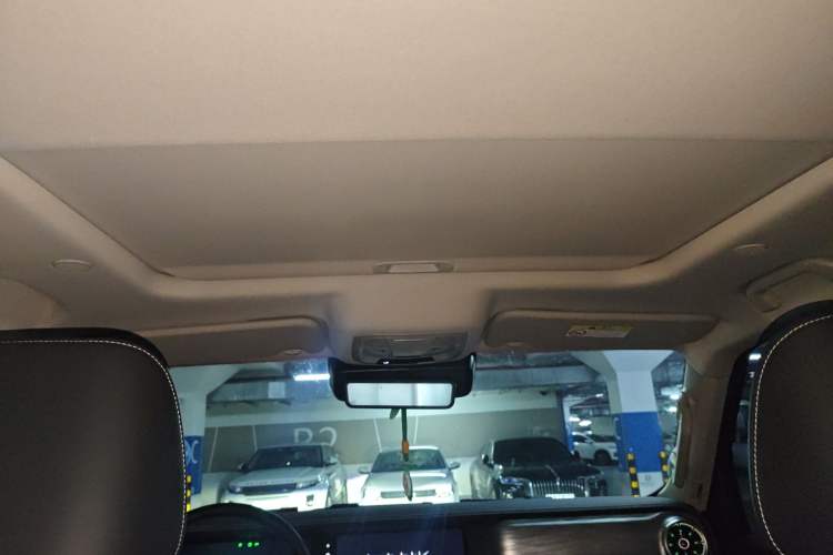 Used Tank 300 2021 City Edition 2.0T—Truly Stylish Headliner