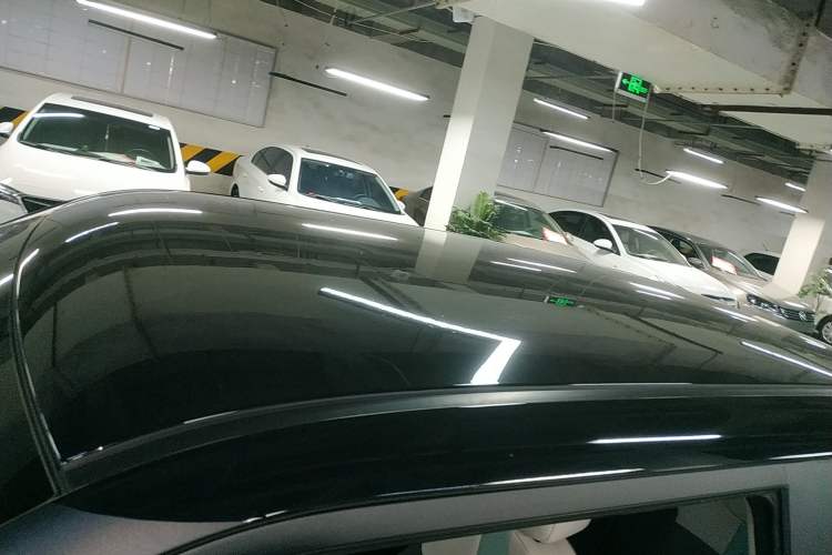 Used Qiyuan Lumin 2023 205km Xiangqin Version